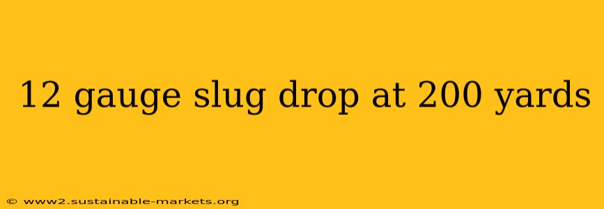 12 gauge slug drop at 200 yards