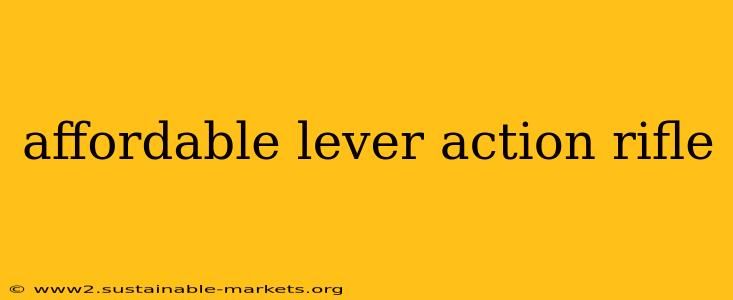 affordable lever action rifle