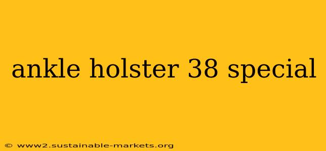 ankle holster 38 special