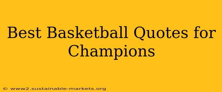 Best Basketball Quotes for Champions