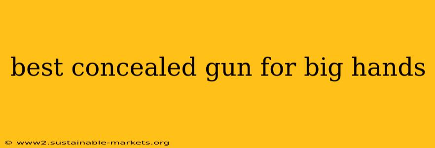 best concealed gun for big hands