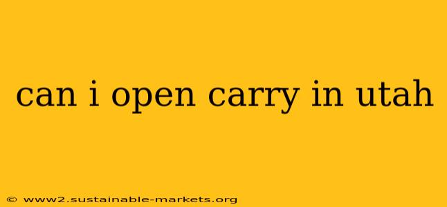 can i open carry in utah
