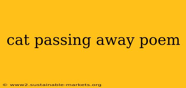 cat passing away poem