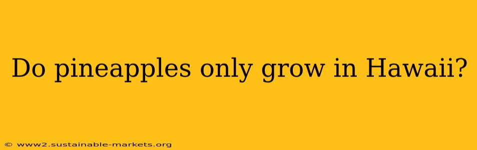 Do pineapples only grow in Hawaii?