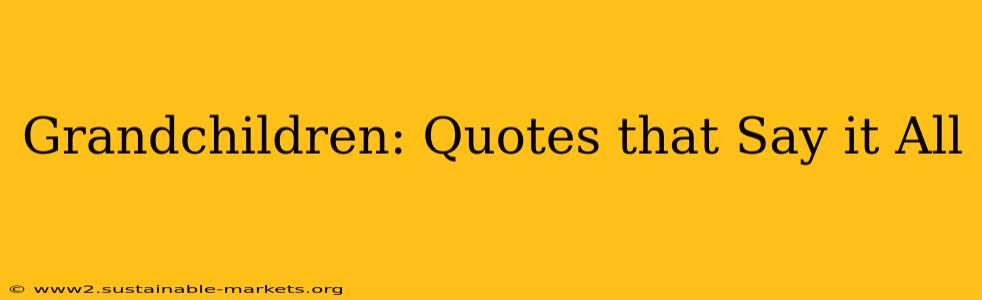 Grandchildren: Quotes that Say it All