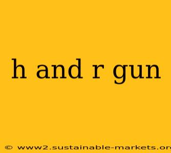 h and r gun