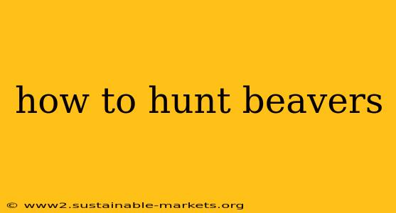 how to hunt beavers