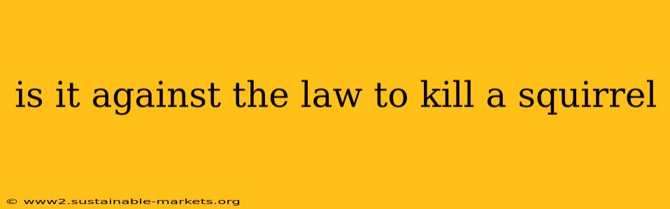 is it against the law to kill a squirrel