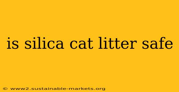 is silica cat litter safe
