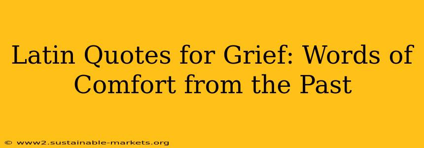 Latin Quotes for Grief: Words of Comfort from the Past