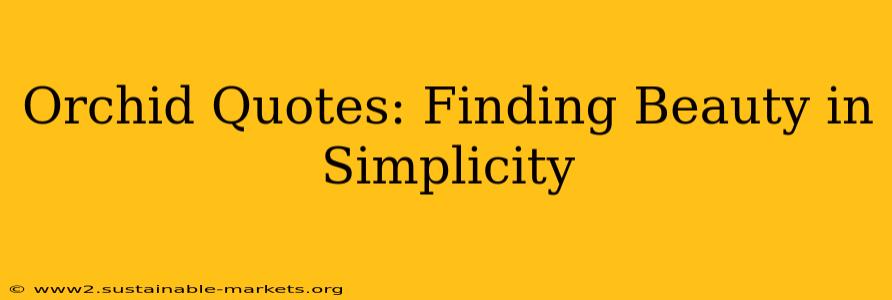 Orchid Quotes: Finding Beauty in Simplicity