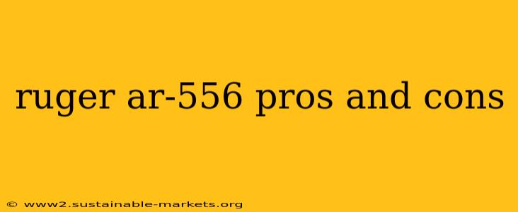 ruger ar-556 pros and cons