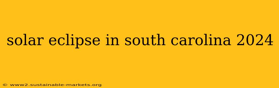 solar eclipse in south carolina 2024