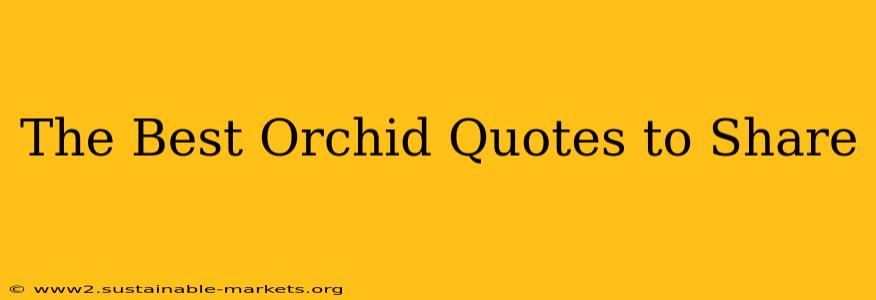The Best Orchid Quotes to Share