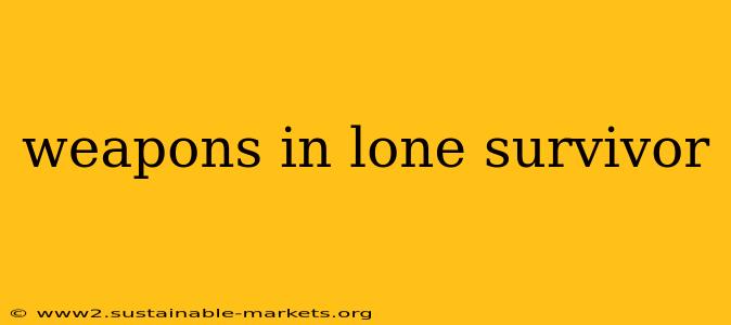 weapons in lone survivor