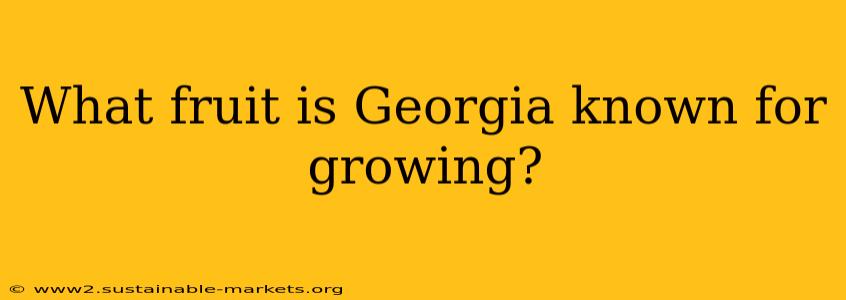 What fruit is Georgia known for growing?